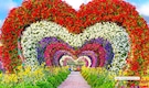 Dubai Miracle Garden 2025 Opens: Dates, Tickets and Must-See Attractions