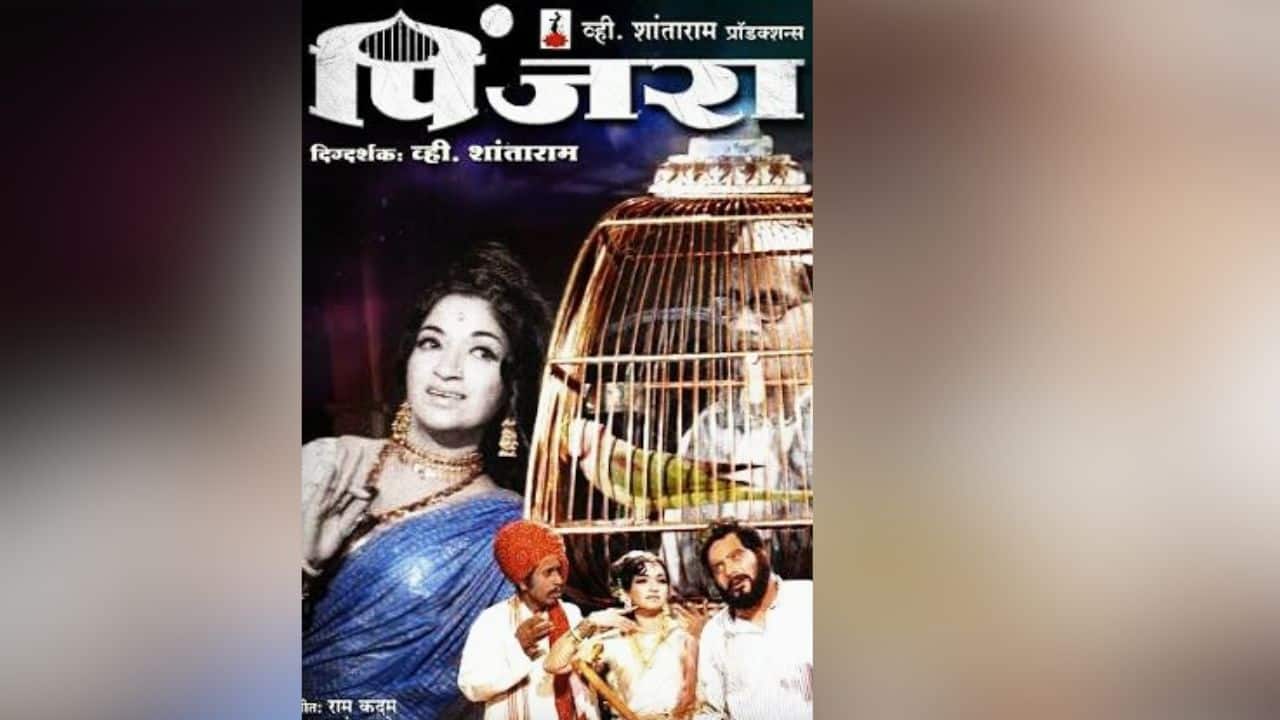 Pinjara (1972) The actress’s career peaked with this Marathi blockbuster, which was also released in Hindi. Sandhya was the main character of Chandrakala, a tamasha (folk theatre) performer whose life crossed paths with a kind-hearted school teacher. She received the Filmfare Award Marathi for Best Actress for her role in this extremely popular movie.