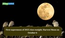 First supermoon of 2025 rises tonight: Know when, where, and how to watch Harvest Moon on October 6
