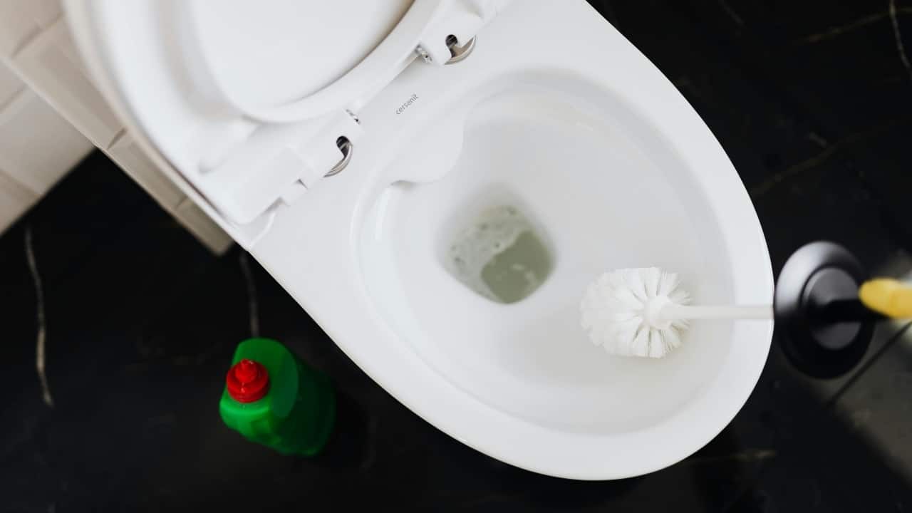5 things in the house that are dirtier than your toilet seat, shared by an orthopaedic surgeon