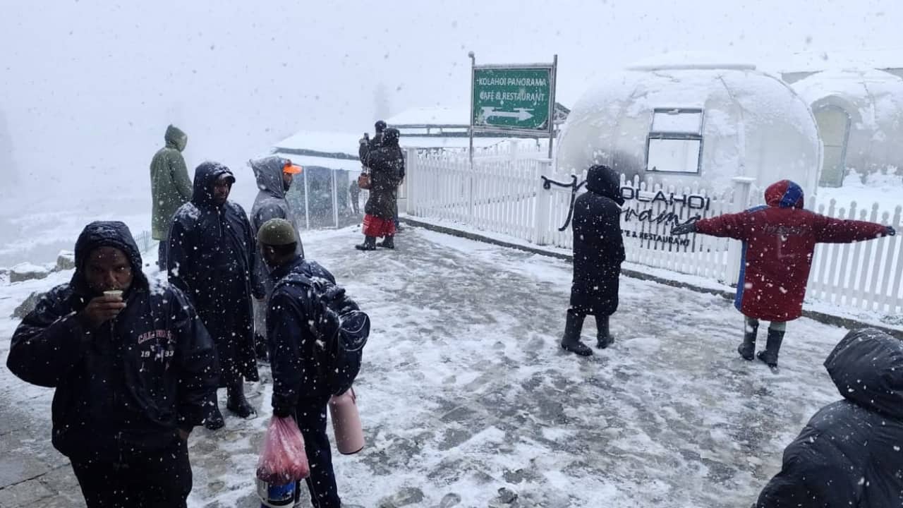 Snowfall was reported from Sinthan Top in Anantnag district, Affarwat in Gulmarg, Zojila Pass, Bangus in Kupwara, Razdan Pass in Gurez valley and other higher-altitude areas, they said. (Image credit: Twitter)
