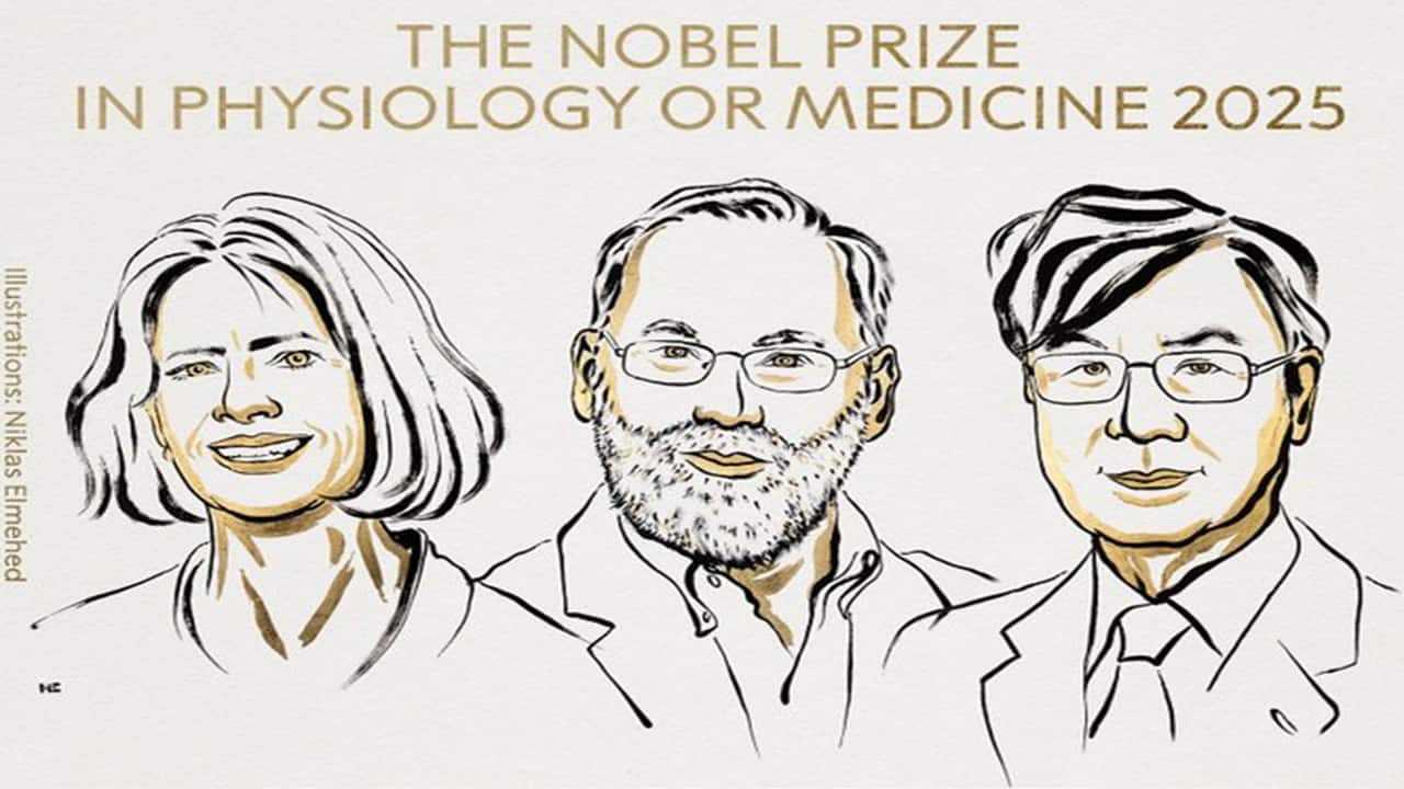 Medicine Nobel 2025 awarded to Brunkow, Ramsdell and Sakaguch for immune tolerance