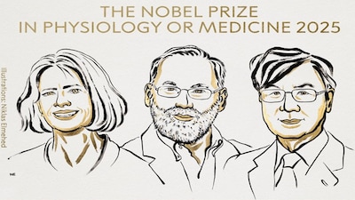 Nobel Prize for Medicine 2025 Explained: How regulatory T cells stop your immune system from attacking itself
