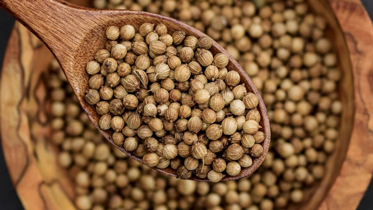 Home remedies for cholesterol: How effective are fenugreek and coriander seeds in 21 days? Home remedies for cholesterol: How effective are fenugreek and coriander seeds in 21 days?