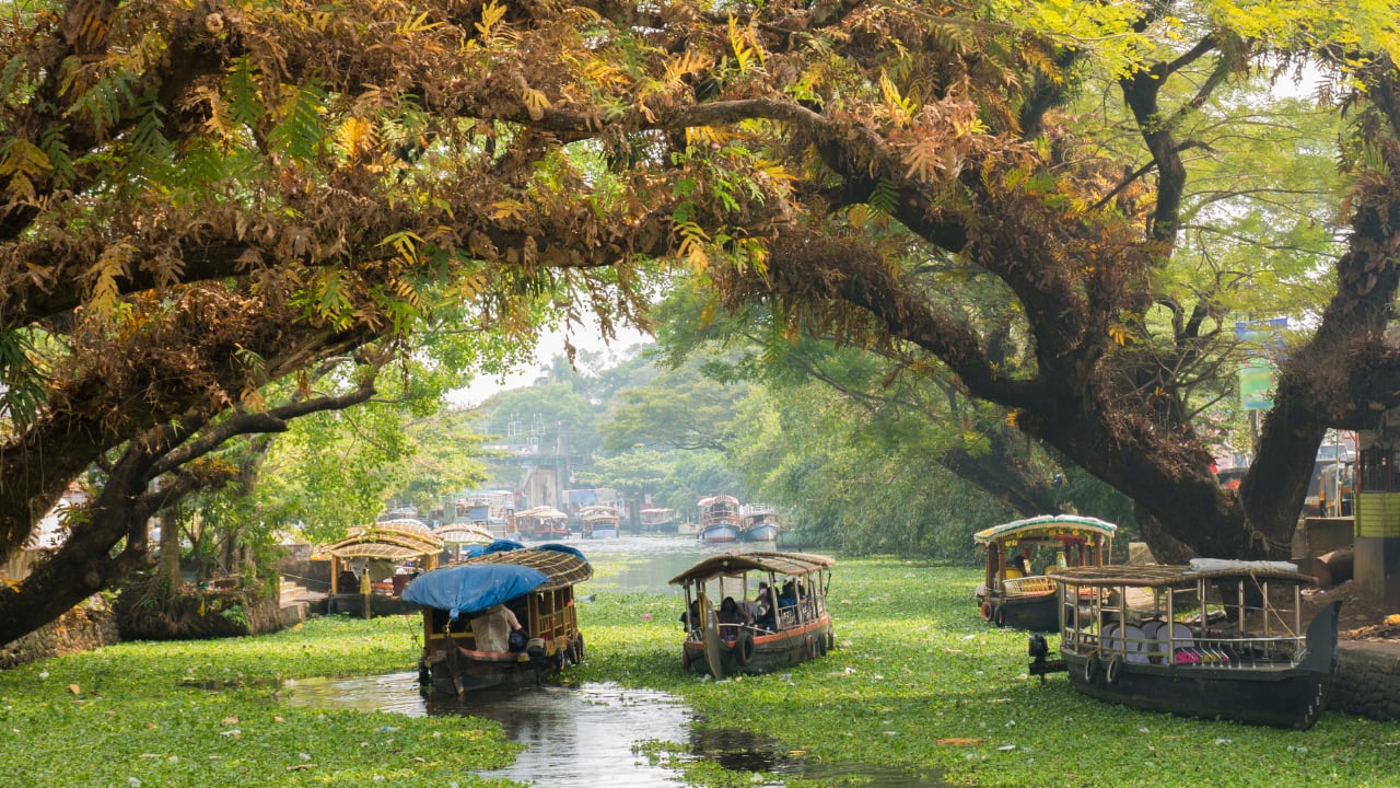 ALLEPPEY – BACKWATERS RETREAT Alleppey in Kerala is famous for its tranquil backwaters, making it an idyllic destination for couples. Book a private houseboat and drift through serene canals surrounded by lush greenery, swaying palms, and traditional villages. Enjoy freshly prepared local cuisine onboard, sip coffee on the deck while watching the sunrise, and relax in the quiet rhythm of the waters. Evening walks along narrow canals, exploring local markets, or visiting nearby beaches add a romantic touch to your trip. Alleppey’s peaceful, intimate ambiance is perfect for couples looking to connect, unwind, and celebrate Karwa Chauth in a picturesque tropical setting.