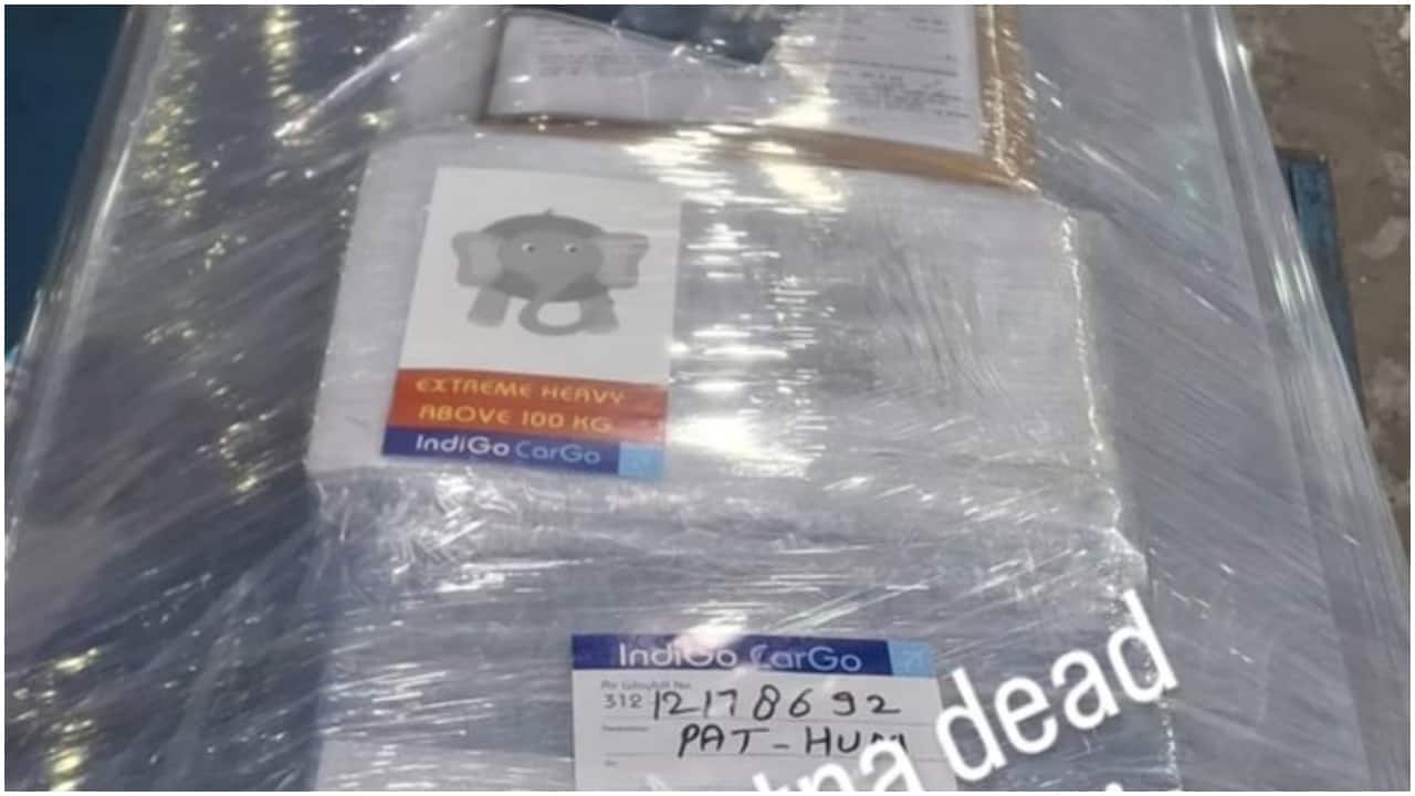 IndiGo draws flak after 'extremely heavy’ label with elephant sticker on human remains cargo goes viral