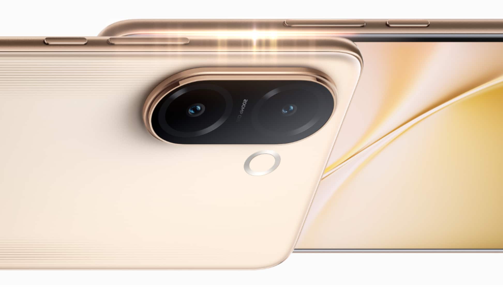 vivo vivo