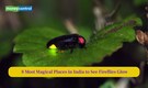 8 Most Magical Places in India to See Fireflies Glow