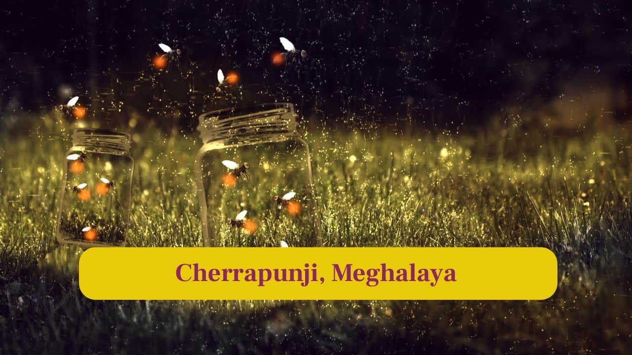 5. Cherrapunji, Meghalaya: Cherrapunji’s misty landscapes come alive as countless fireflies shimmer across the highlands after the rains. (Image: Canva)