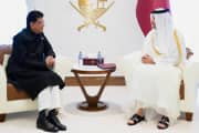 Qatari firms keen to partner with Indian firms for investments, third-country projects: Piyush Goyal