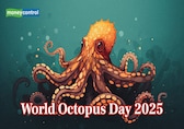 World Octopus Day 2025: Date, history, significance and why it matters