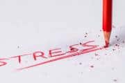 From herbs to mindful practices: Expert tips on how to fight stress, balance hormones and heal your mind