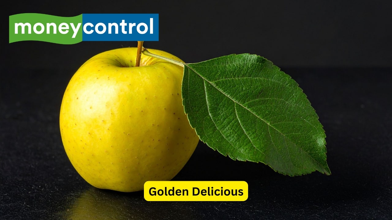 11 popular apple varieties and how they differ in taste and texture 11 popular apple varieties and how they differ in taste and texture
