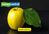11 popular apple varieties and how they differ in taste and texture