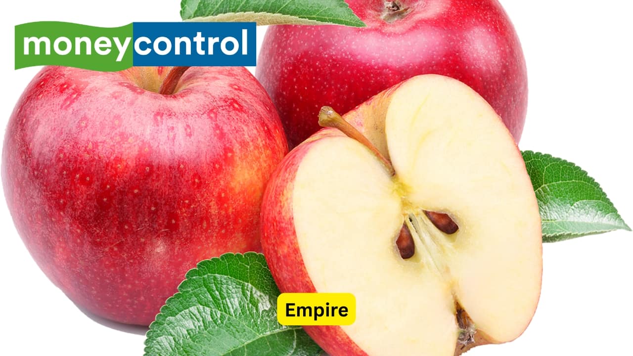 Empire The Empire apple is a hybrid between the McIntosh and Red Delicious varieties. It has a firm, juicy texture and a sweet, tangy flavor. This hybrid apple is popular for its versatility and nice balance of flavors.(Image: Canva)