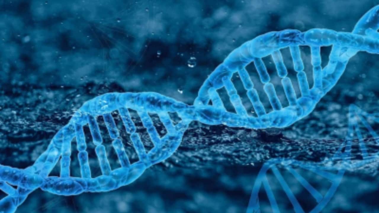 Humans have an extra Y chromosome, says study; Here's why it's bad news for men