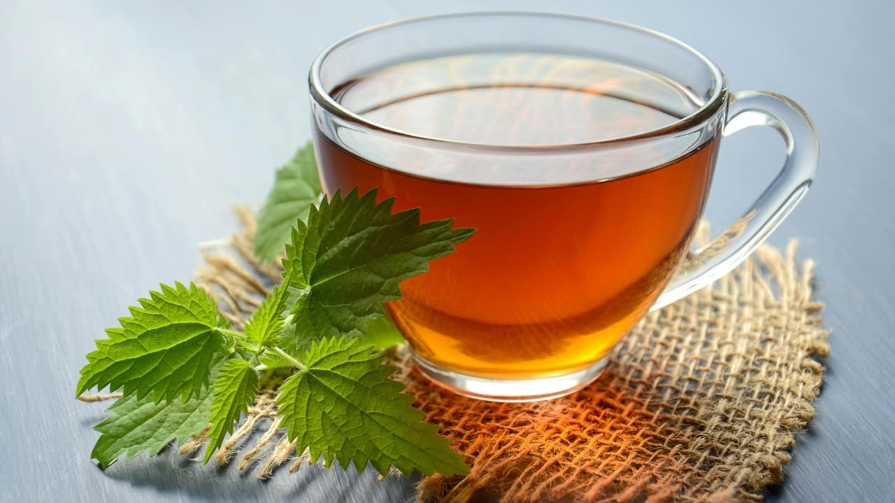 Does green tea help burn fat? Recent study shows real potential for obesity treatment