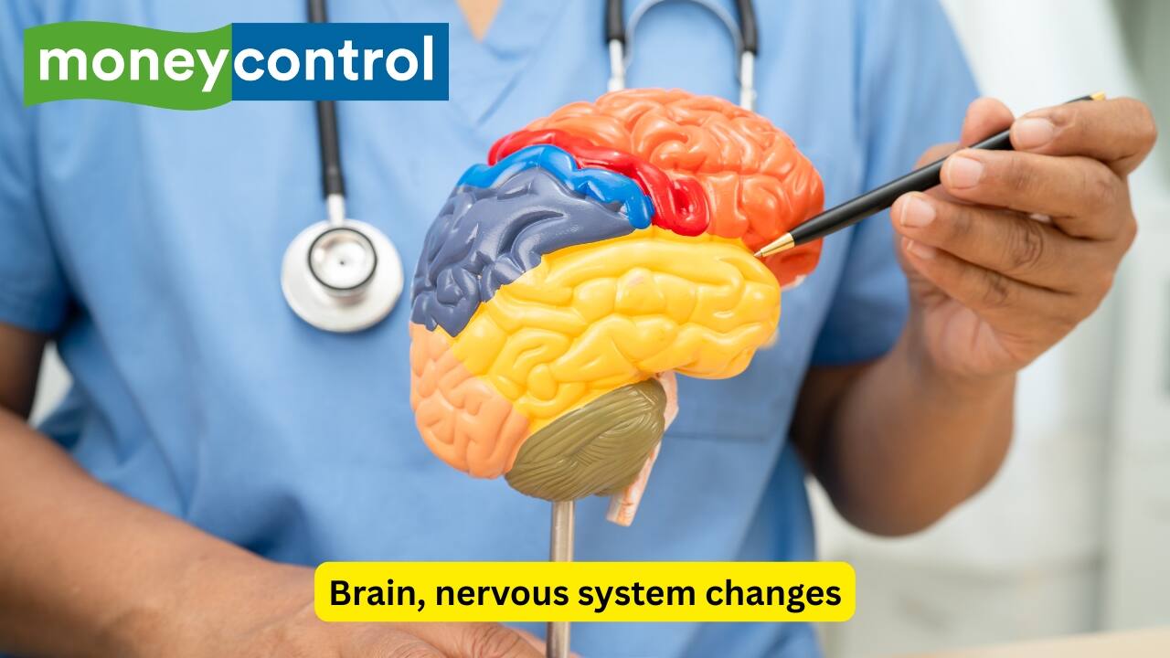 Brain, nervous system changes Chronic stress may begin to affect the brain and the autonomic nervous system, which can further influence immune and inflammatory responses. Constant activation of such stress circuits may disturb the hypothalamic-pituitary-adrenal axis (a system that regulates the body’s stress response). (Image: Canva)
