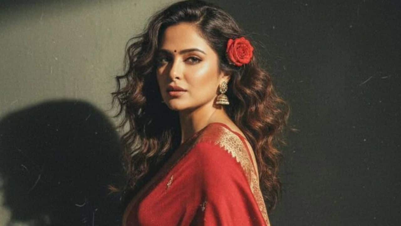 Married on a television show On September 30, 2025, Avika married social activist Milind Chandwani on the sets of the reality show Pati Patni Aur Panga, which will be broadcast on television.