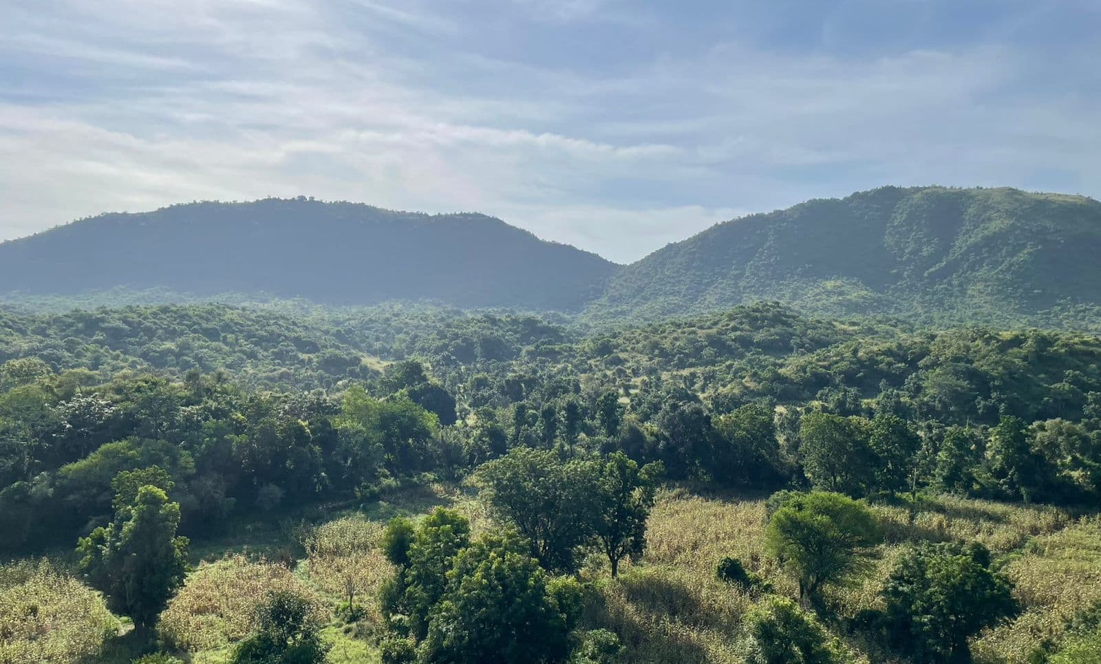 Haryana redefines Aravalis – Why most hills in Gurugram and Faridabad could disappear from Maps