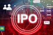 Everstone-backed Integris Medtech files for Rs 3,500-4,000 crore IPO