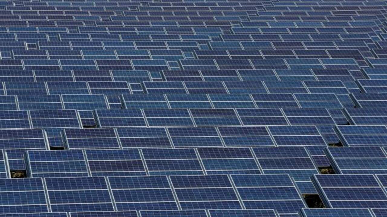 Waaree Energies: Why is profit booking the smart play, post-Q2 earnings beat?