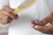 Could this sweetener regrow your hair? Scientists say stevia boosts hair loss treatment effectiveness