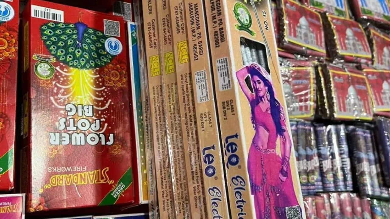 When Sreeleela lit up Diwali 2024 on Firecrackers boxes
