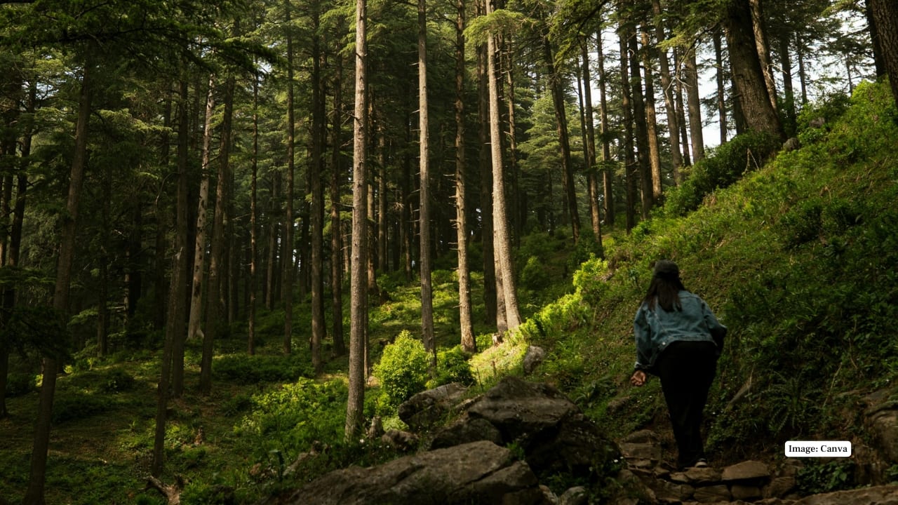 8. You Enjoy Getting Lost You take up shortcuts and backroads and see beauty in the unanticipated and the unknown. (Image: Canva)
