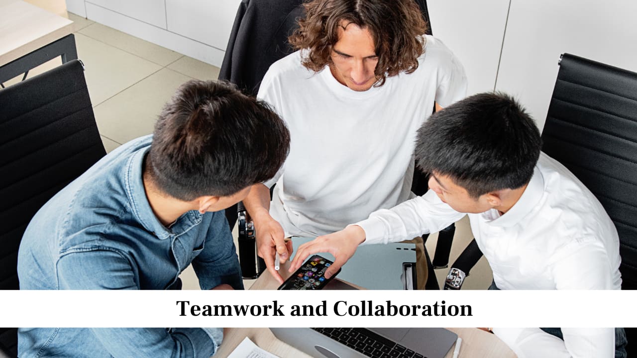 Teamwork and Collaboration