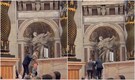 Man urinates on altar at Vatican City’s St. Peter’s Basilica during holy mass, 'shocks' Pope. Video
