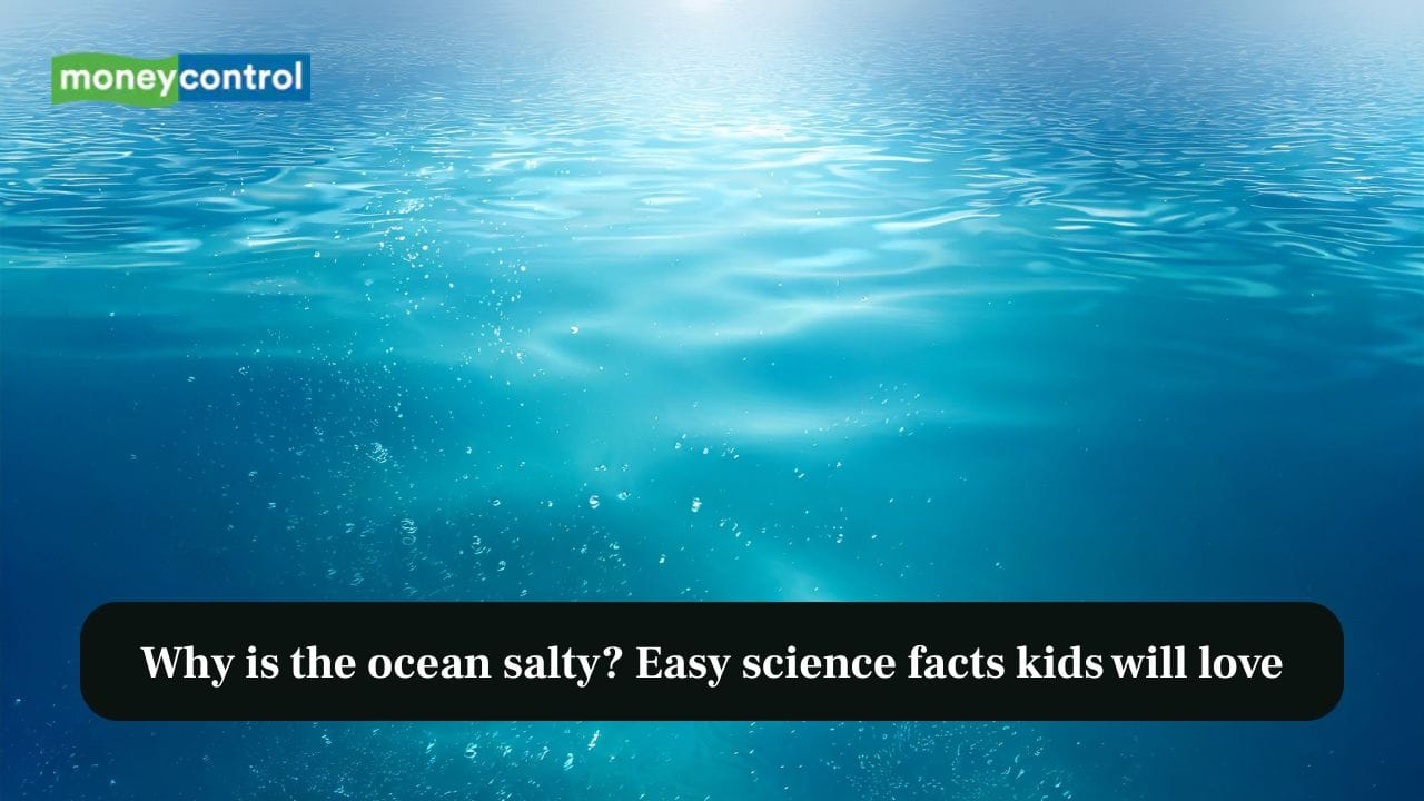 Why is the ocean salty? Easy science facts kids will love