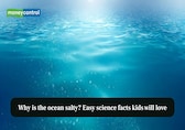 Why is the ocean salty? Easy science facts kids will love