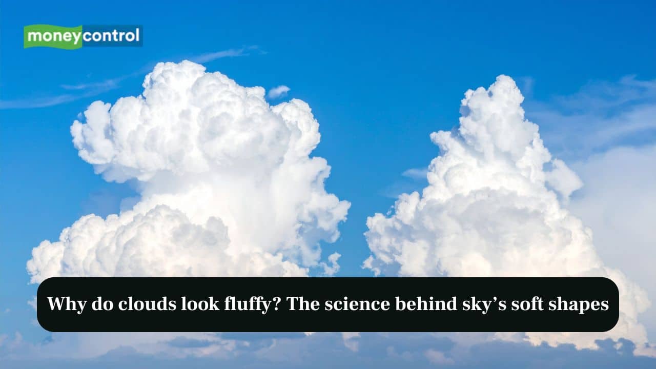 Why do clouds look fluffy? The science behind sky’s soft shapes