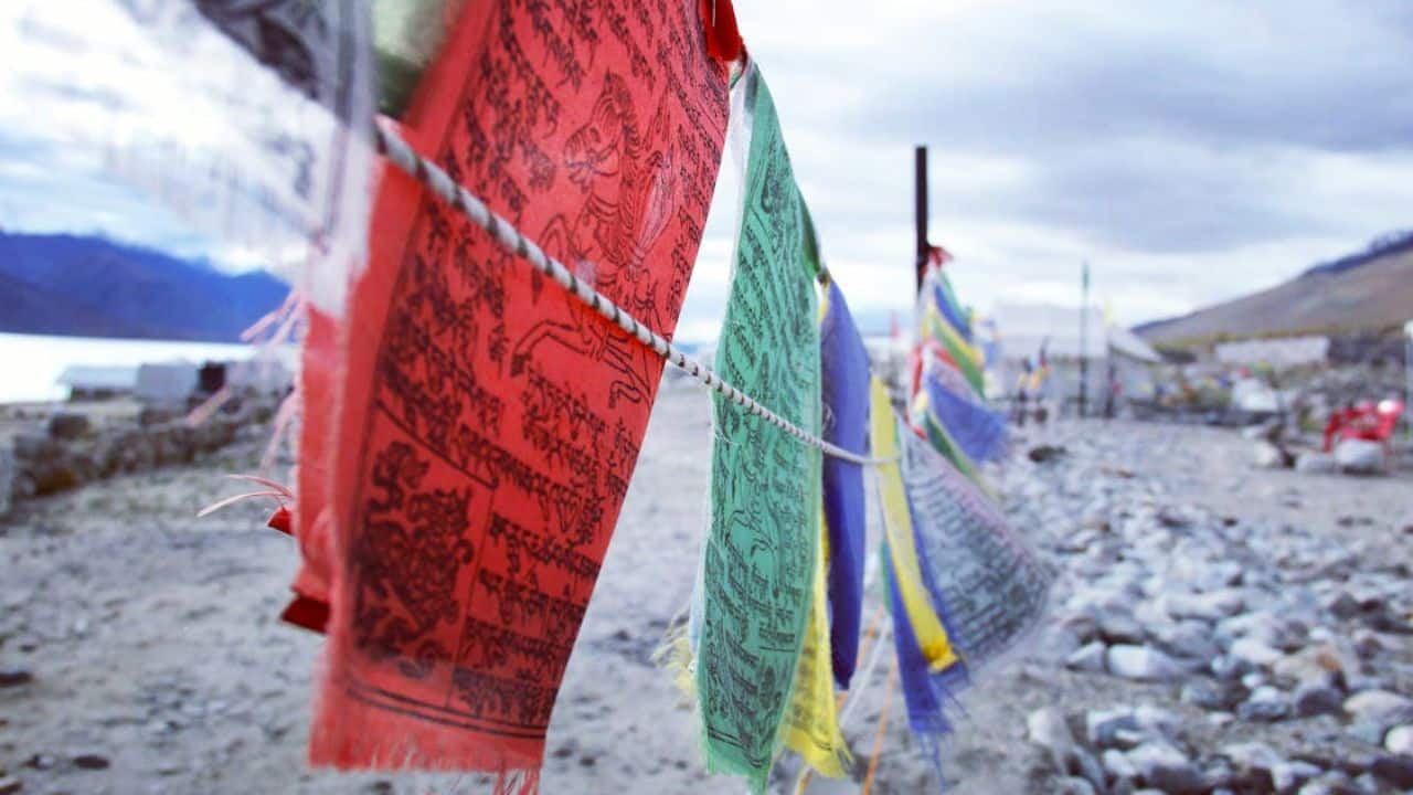 Is Ladakh's tourism boom over? A 60% drop tells a grim story