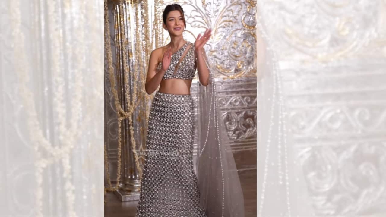 Shanaya Kapoor at Manish Malhotra Diwali party (Screengrab: @mahesh_videojournalist/Instagram)