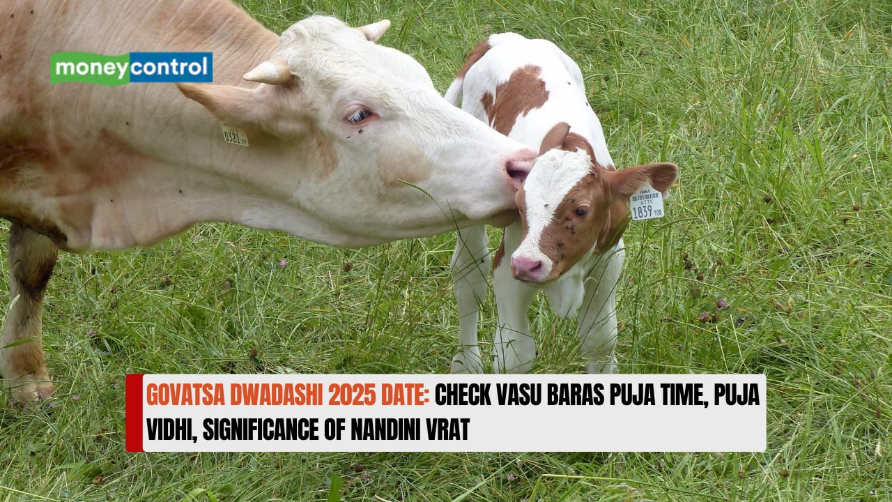 Govatsa Dwadashi 2025 Date: Check Vasu Baras Puja Time, Puja Vidhi, Significance of Nandini Vrat