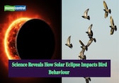 Science reveals how total solar eclipse impacts bird behaviour