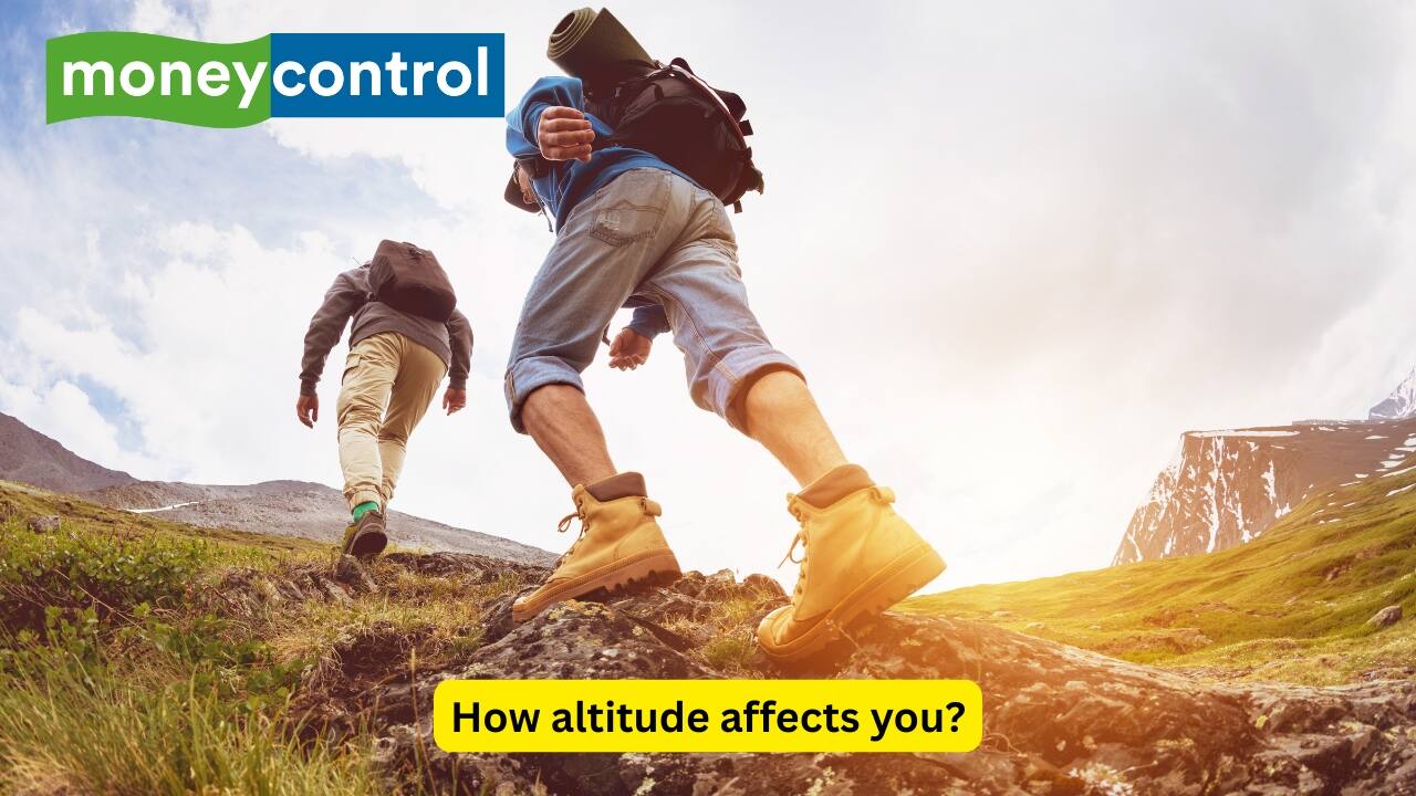 How altitude affects you? Altitude sickness isn’t just for Everest climbers, even moderate ascents can leave you gasping, nauseous, or worse. But what actually happens to the body when you climb? At higher altitudes, the air thins, meaning less oxygen with every breath. Your body turns on the survival mode — increasing your breathing rate, upping red blood cell production, and working overtime to deliver oxygen to your muscles and brain. (Image: Canva)