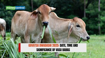 Govatsa Dwadashi 2025: Date, Time and Significance of Vasu Baras (image: canva)