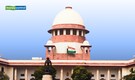 'What about cruelty towards humans?' Supreme Court makes sharp observations in stray dog case, slams states