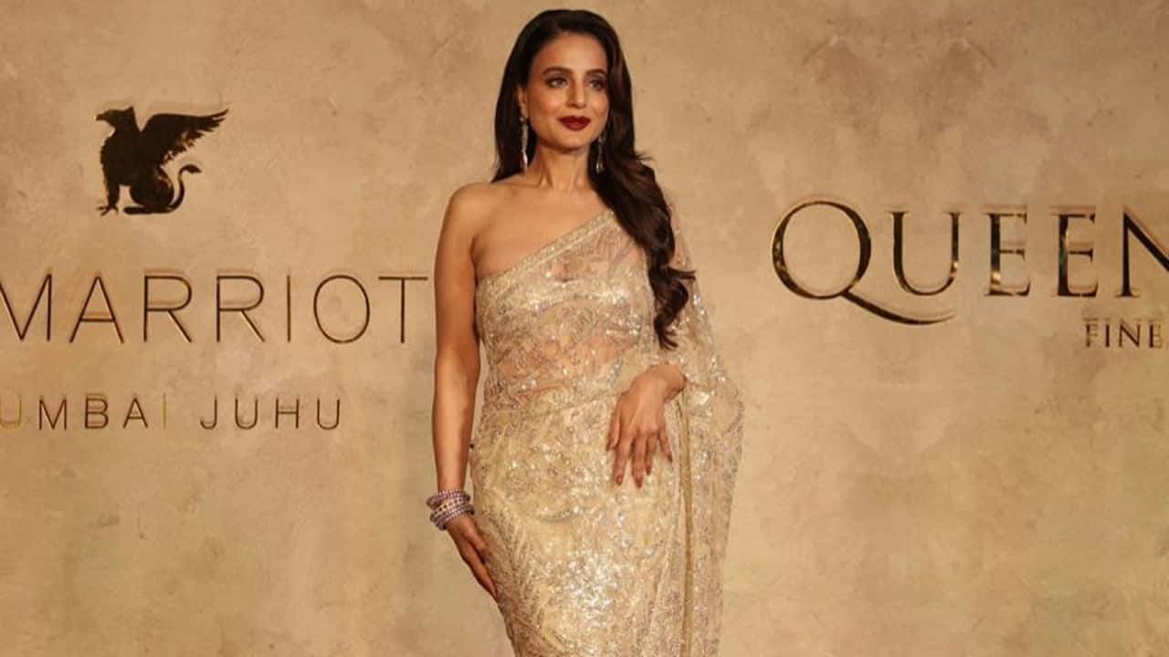 Amisha Patel— Made a bold entrance in a silver saree paired with a blouse, perfectly balancing drama and sophistication.