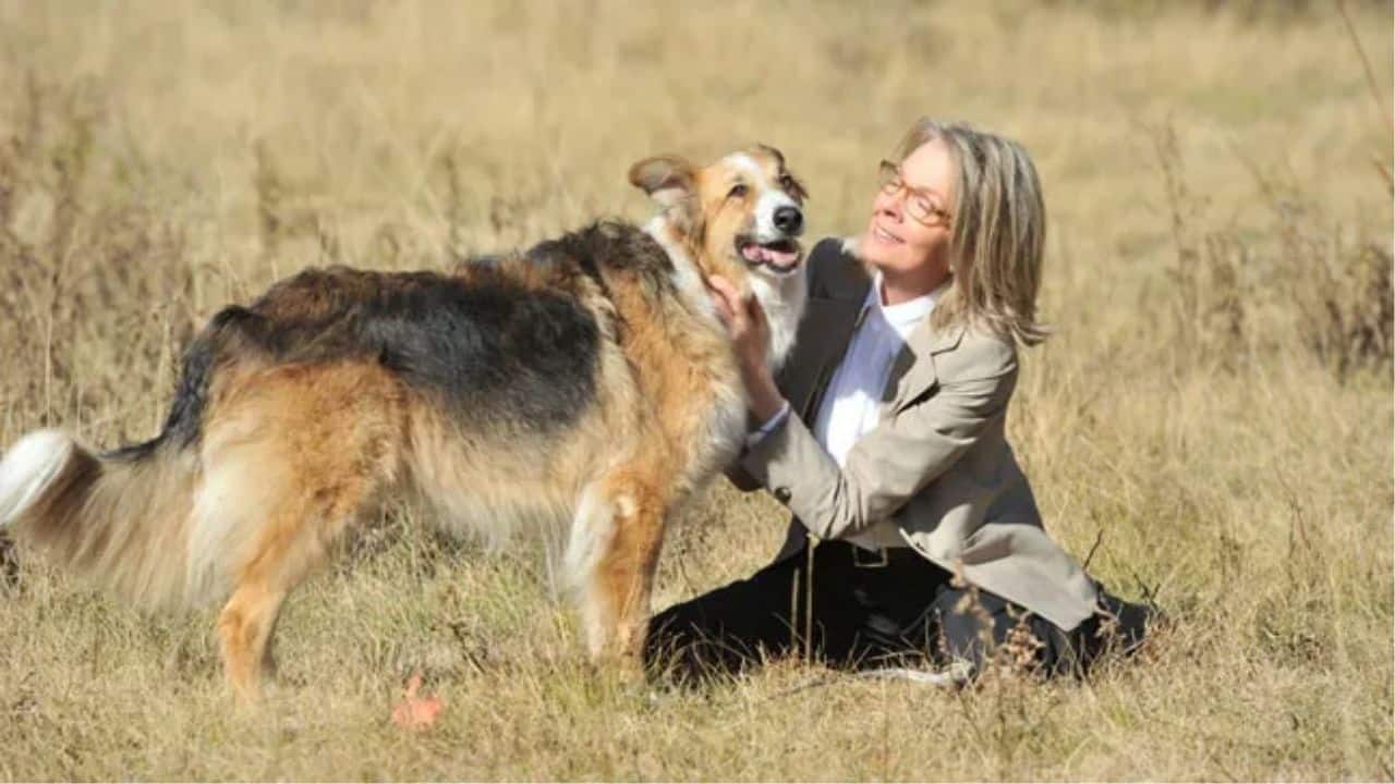 Diane Keaton leaves $5 Million in Will for dog Reggie and animal charities