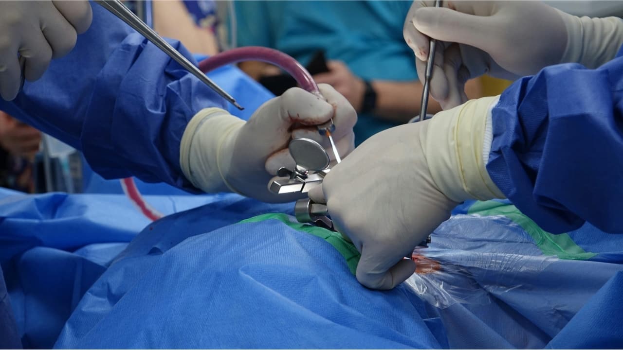 World Anaesthesia Day 2025: From chronic pain to NCDs, Anaesthesiologist explains anaesthesia’s role in treating everyday pain World Anaesthesia Day 2025: From chronic pain to NCDs, Anaesthesiologist explains anaesthesia’s role in treating everyday pain