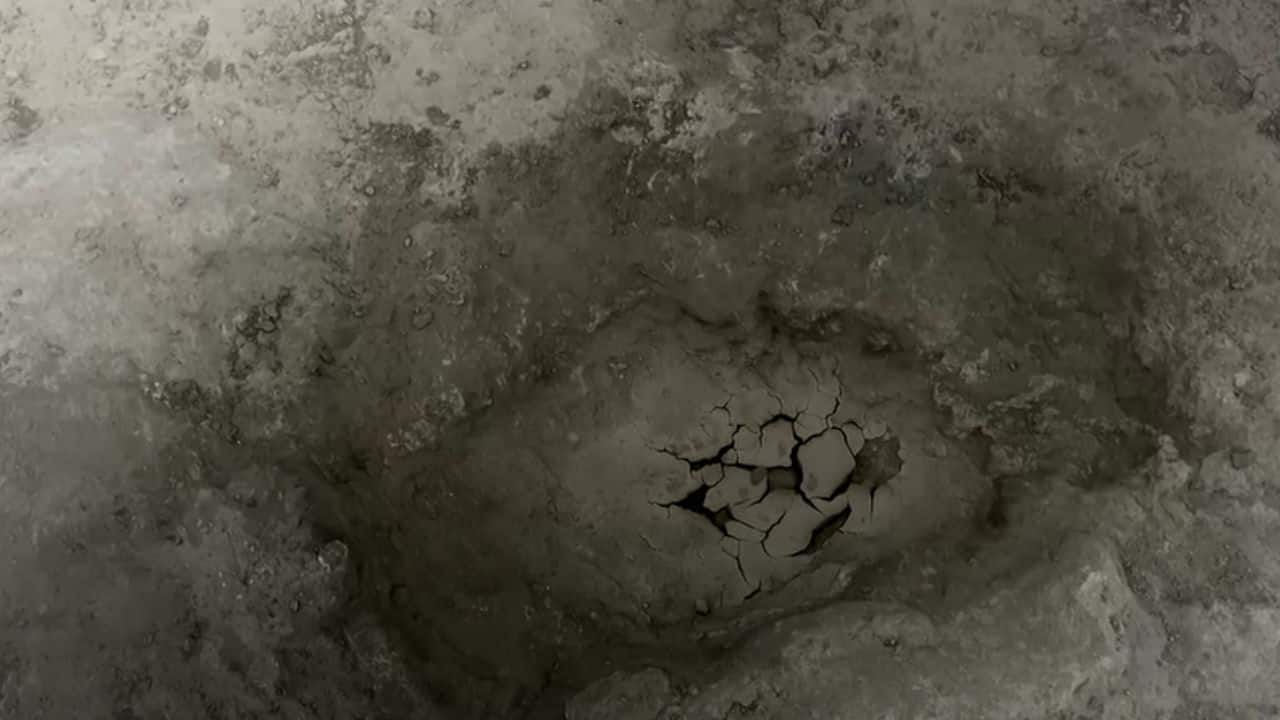 One of the World’s longest: Dinosaur footprints stretching over 650 feet discovered in UK