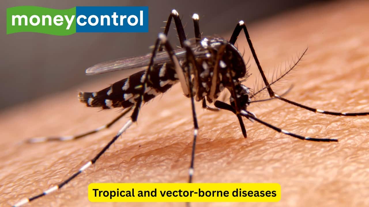 Tropical and vector-borne diseases There exist many tropical and vector-borne infections like malaria, chikungunya, leishmaniasis, etc. that occur while travelling to a different state or country. Such infections can cause periodic fever and a reduction in the platelets of the body (thrombocytopenia). Abdominal problems like an enlarged liver can be associated with such infections. (Image: Canva)