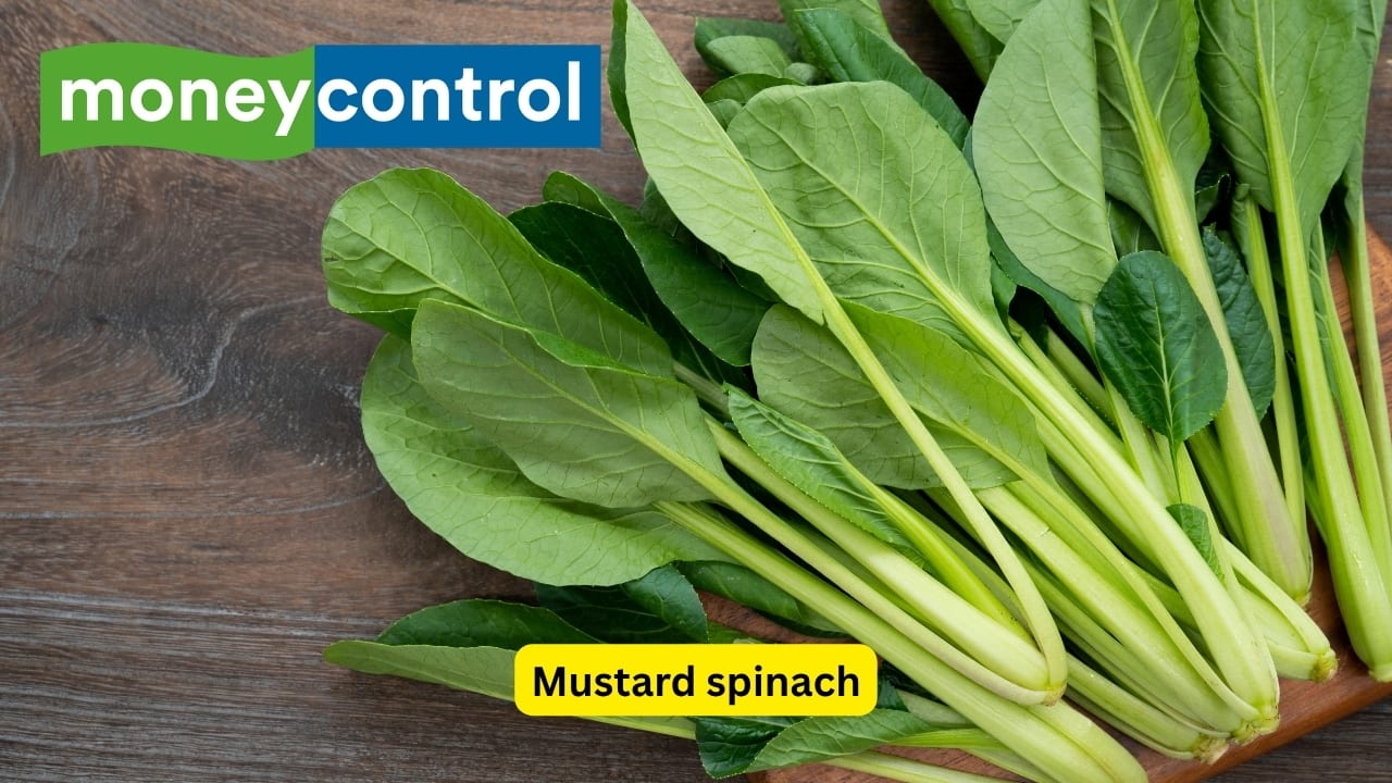 Mustard spinach Mustard spinach, or baby mustard greens, has about 117 mg of vitamin C cooked per cup. Its mild peppery taste works great in salads or stir-frys. It is full of antioxidants and anti-inflammatory properties, making it a great leafy green that supports immunity and wellness. (Image: Canva) Mustard spinach Mustard spinach, or baby mustard greens, has about 117 mg of vitamin C cooked per cup. Its mild peppery taste works great in salads or stir-frys. It is full of antioxidants and anti-inflammatory properties, making it a great leafy green that supports immunity and wellness. (Image: Canva)
