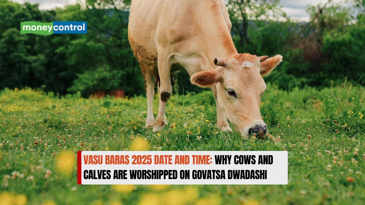 Vasu Baras 2025 Date and Time: Why cows and calves are worshipped on Govatsa Dwadashi
