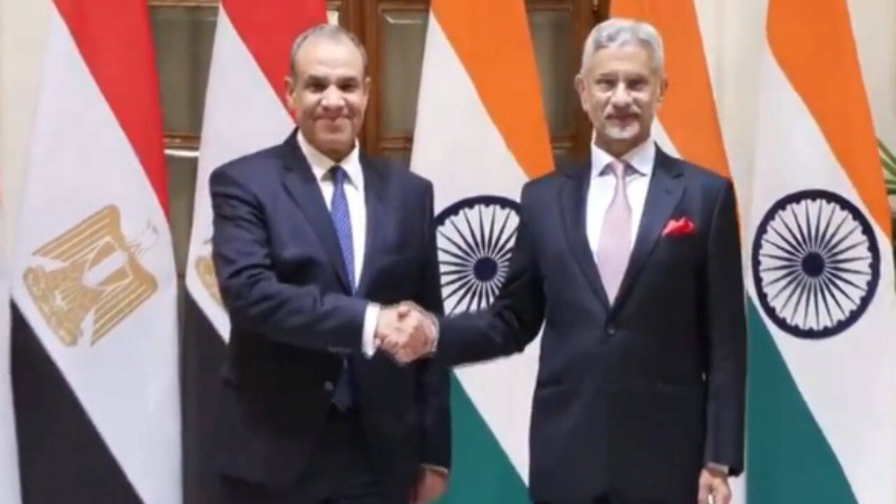 EAM Jaishankar meets Egyptian Foreign Affairs Minister Badr Abdelatty
