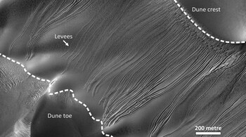 Gullies on a Martian dune inside Russell Crater show how descending ice blocks built up levees along their path. (Image: HiRISE (PSP_001440_1255_RED), NASA/JPL/University of Arizona)